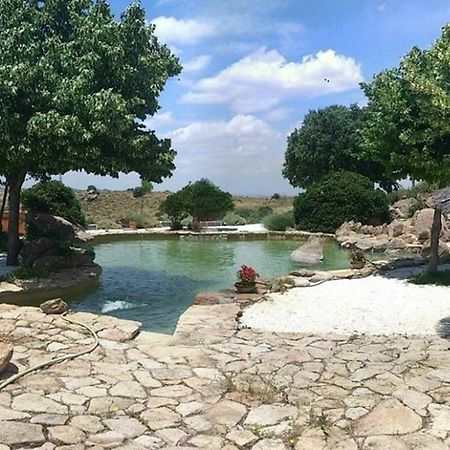 Finca El Cerco A 5M De Puy Du Fou Y 10M A Casco Antiguo De Toledo Villa Argés Exteriör bild
