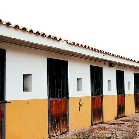 Finca El Cerco A 5M De Puy Du Fou Y 10M A Casco Antiguo De Toledo Villa Argés Exteriör bild