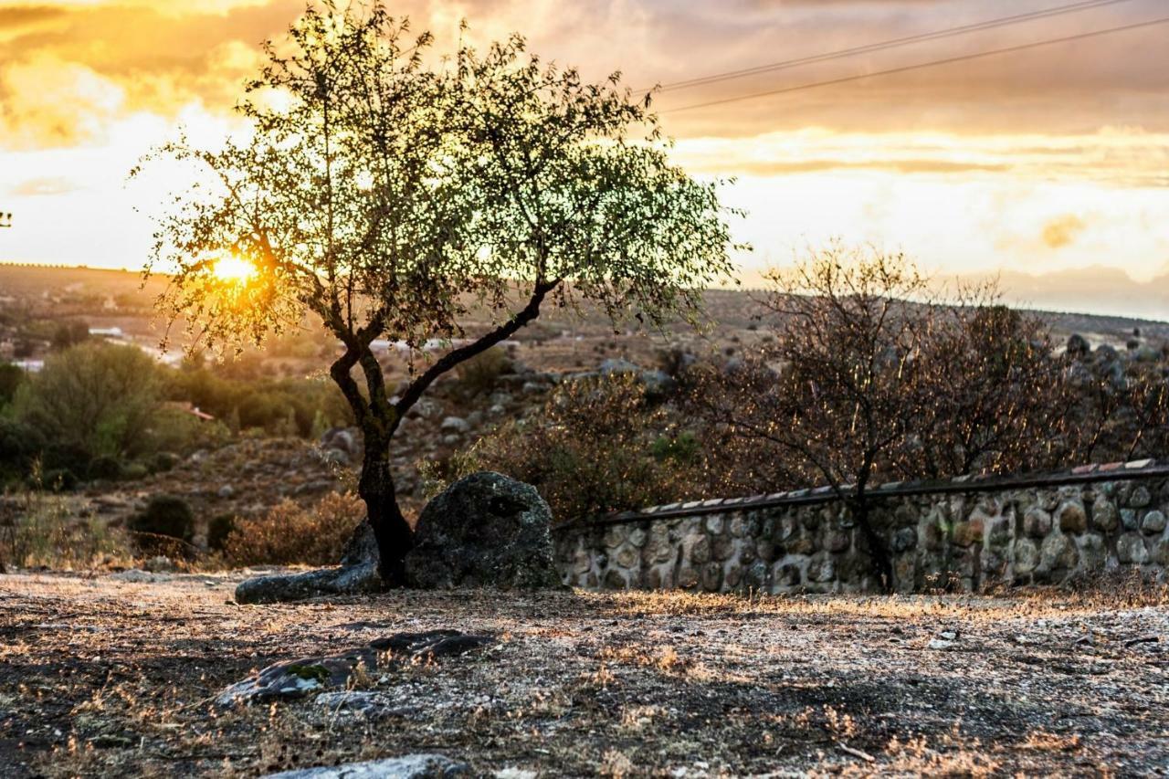 Finca El Cerco A 5M De Puy Du Fou Y 10M A Casco Antiguo De Toledo Villa Argés Exteriör bild
