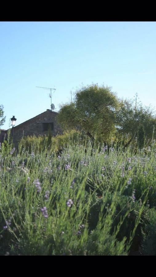 Finca El Cerco A 5M De Puy Du Fou Y 10M A Casco Antiguo De Toledo Villa Argés Exteriör bild