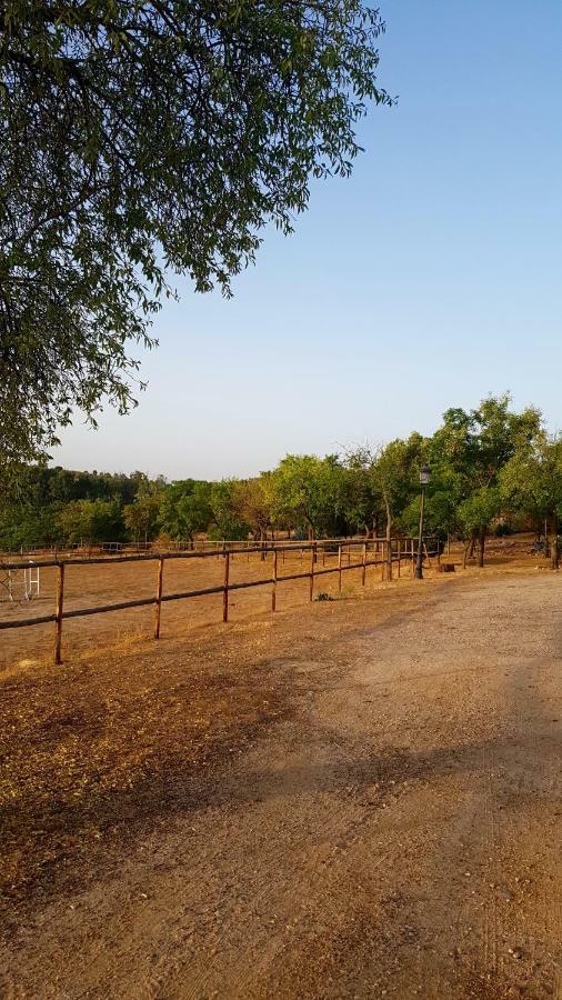 Finca El Cerco A 5M De Puy Du Fou Y 10M A Casco Antiguo De Toledo Villa Argés Exteriör bild