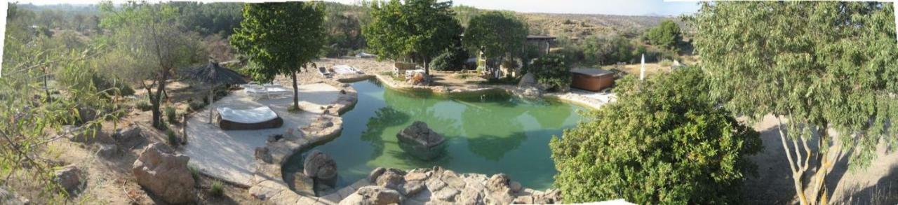 Finca El Cerco A 5M De Puy Du Fou Y 10M A Casco Antiguo De Toledo Villa Argés Exteriör bild