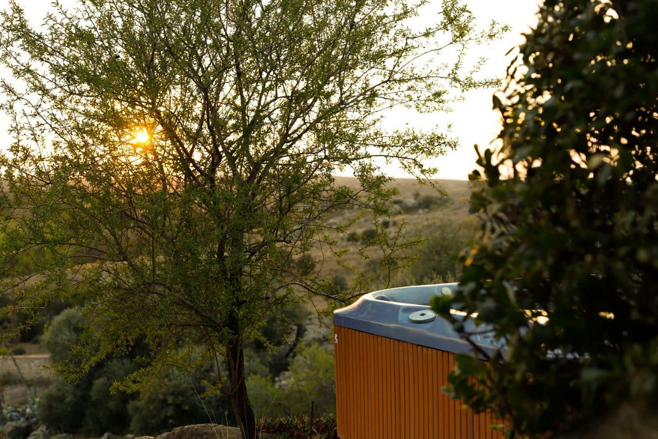 Finca El Cerco A 5M De Puy Du Fou Y 10M A Casco Antiguo De Toledo Villa Argés Exteriör bild